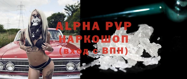 индика Новокубанск