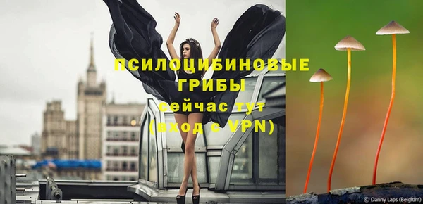 крисы Нязепетровск