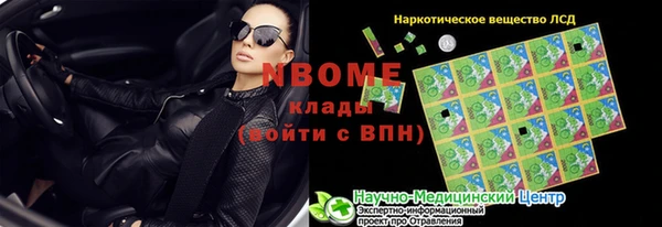 индика Новокубанск
