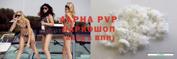 индика Новокубанск