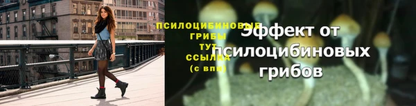 индика Новокубанск