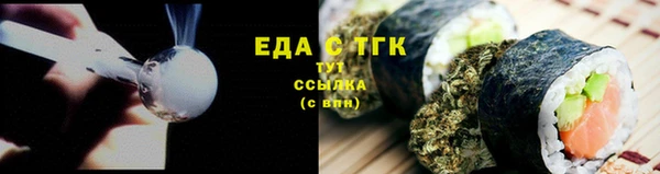 индика Новокубанск