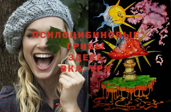 индика Новокубанск