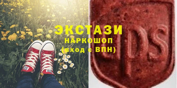индика Новокубанск