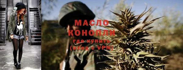 индика Новокубанск